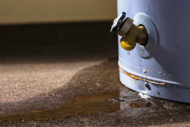 Best Professional water damage repair  in Langston, OK