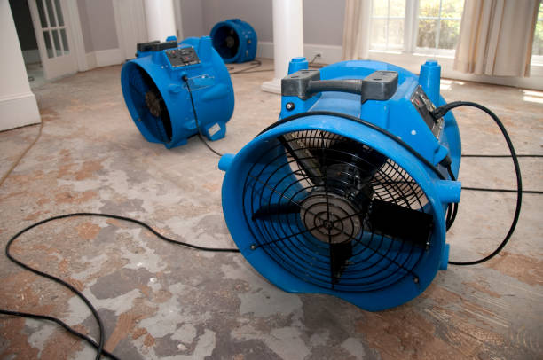 Best Mold removal after water damage  in Langston, OK